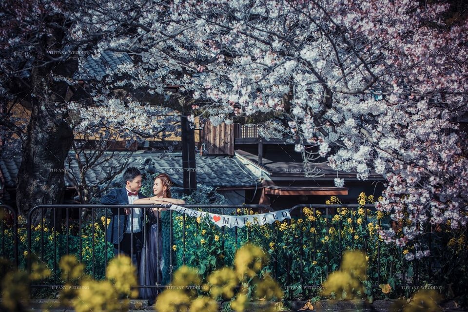 海外婚紗照攝影 日本景點 街景婚紗 疫情 台中婚紗帝芬妮婚紗